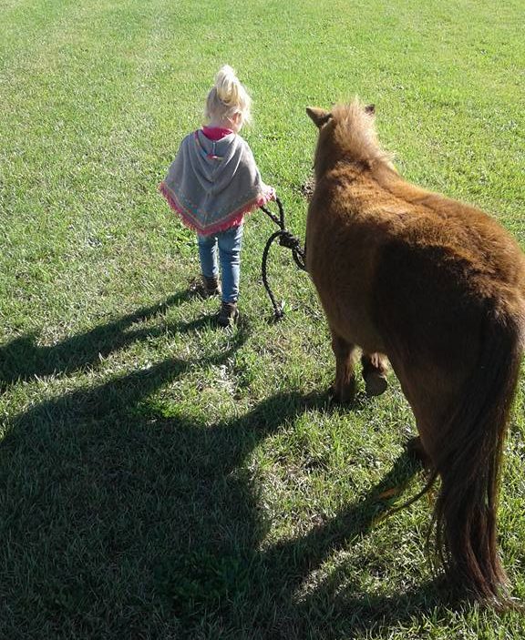 Once an Equestrian, Always an Equestrian - Photo #2