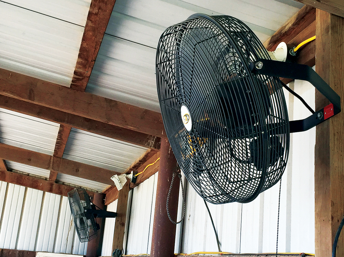 Barn Fans And Safety Your Horse Farm