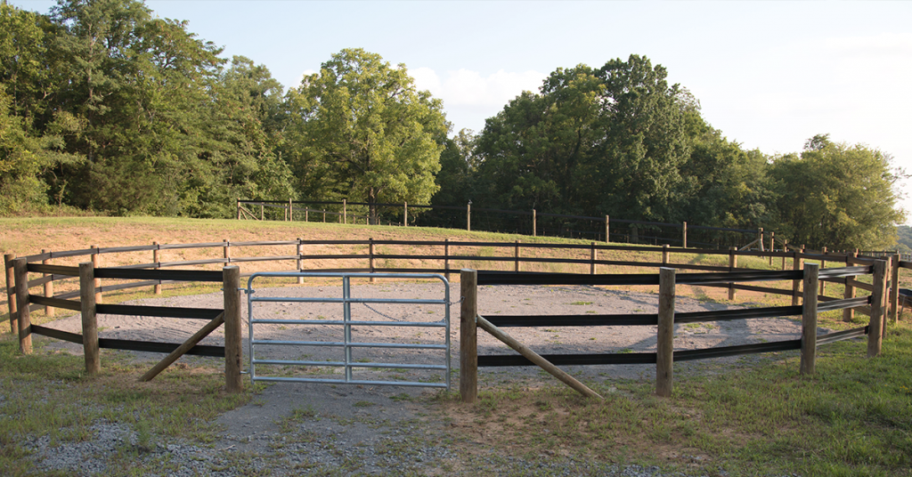 The Benefits of a Round Pen - Your Horse Farm