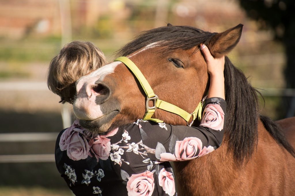 Once an Equestrian, Always an Equestrian - Photo #1