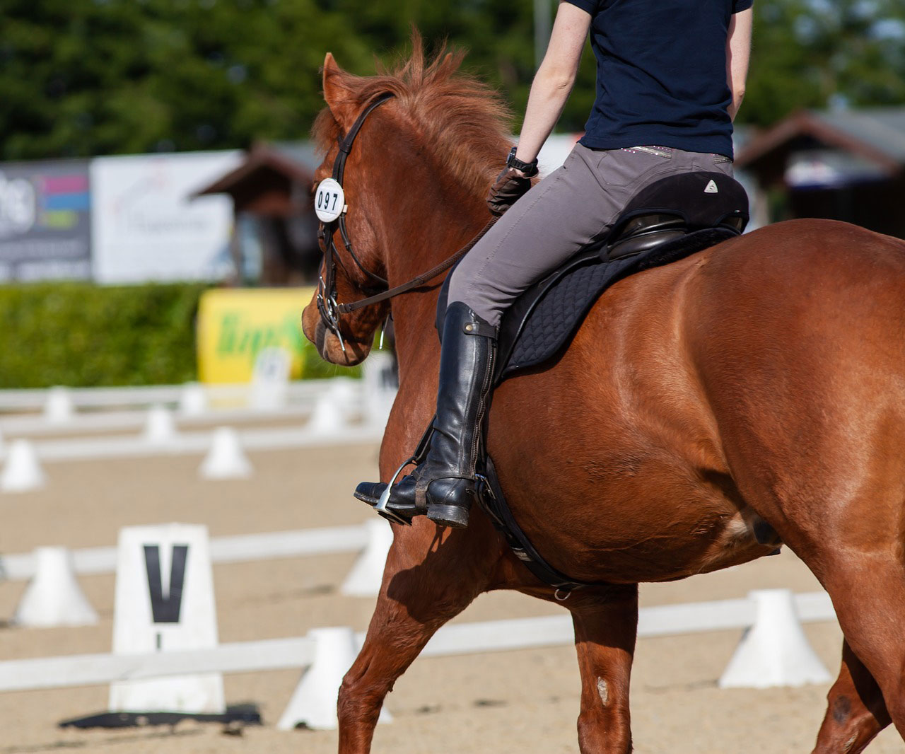 Horse Rider Position Diagram