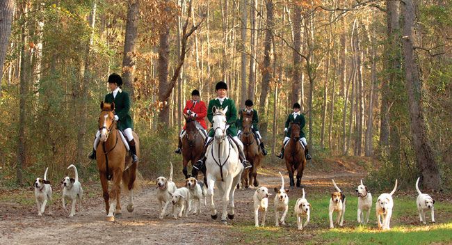 horse places in the united states - fox hunting