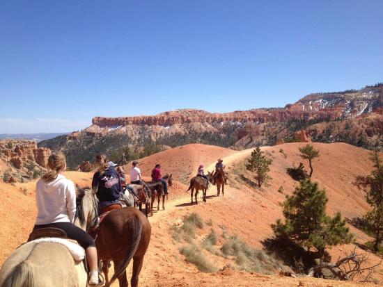 horse places in the united states - horseback riding