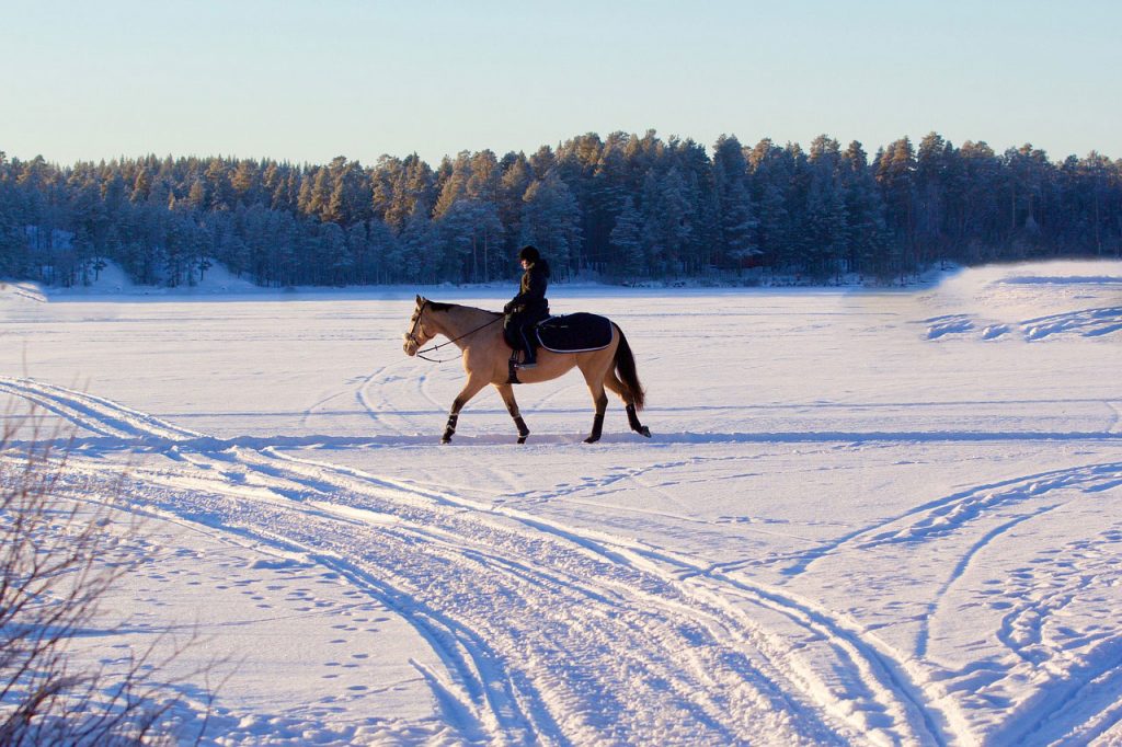 Is It Too Cold to Ride? - Your Horse Farm