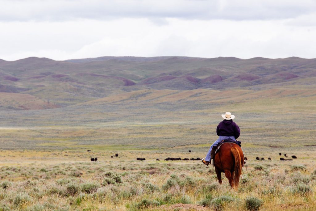 western riding