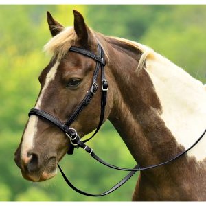 Bitless Options for Horse | Your Horse Farm