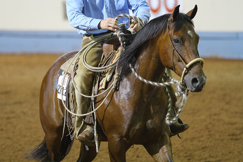 Western Mecate Reins Bosal/Hackamore Reins