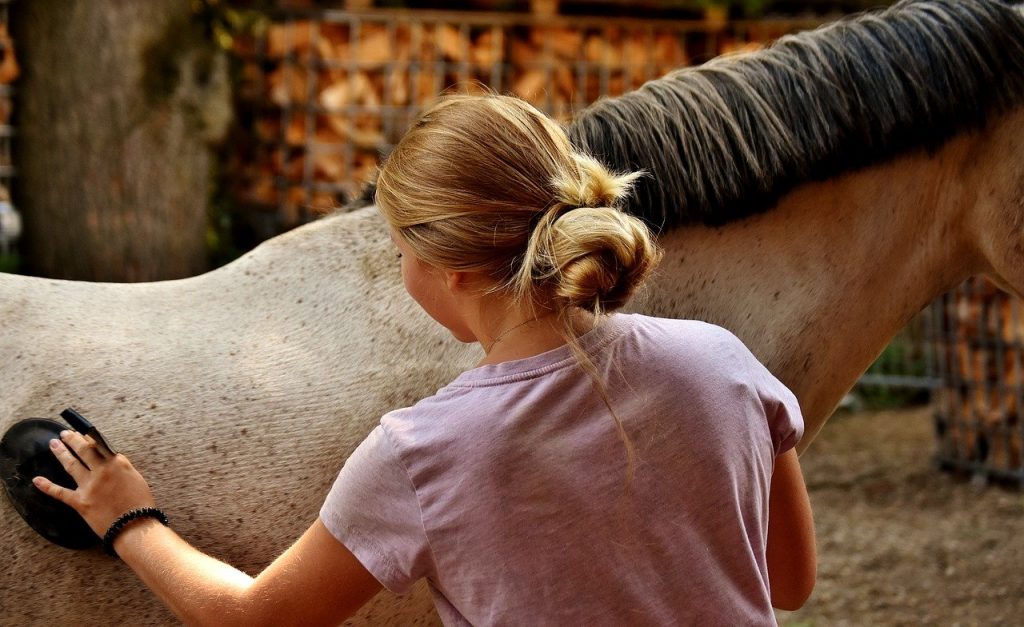 Girl brushing horse