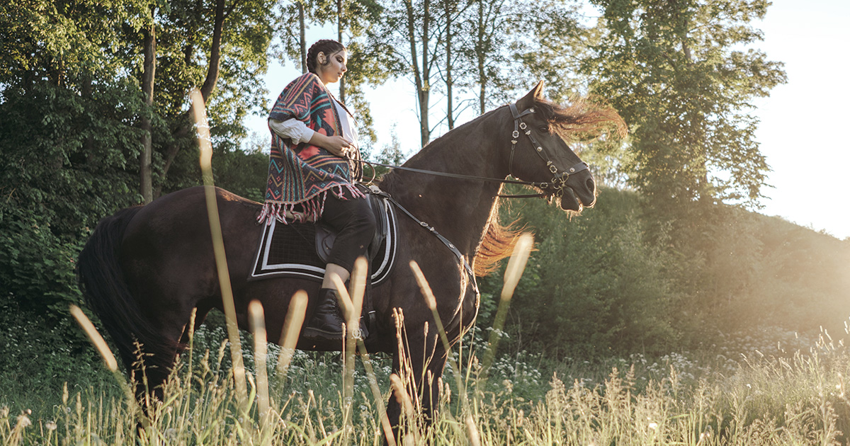 5 Native American Horse Breeds