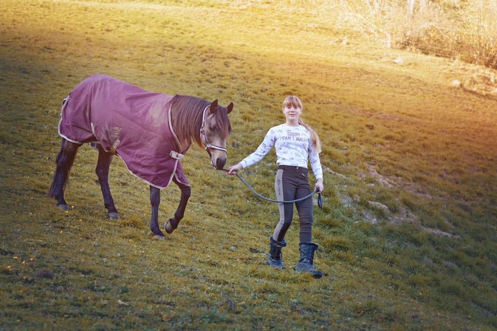 Horse with blanket