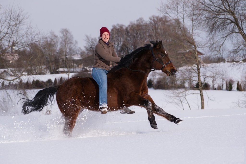 Rider on horse in snow. 