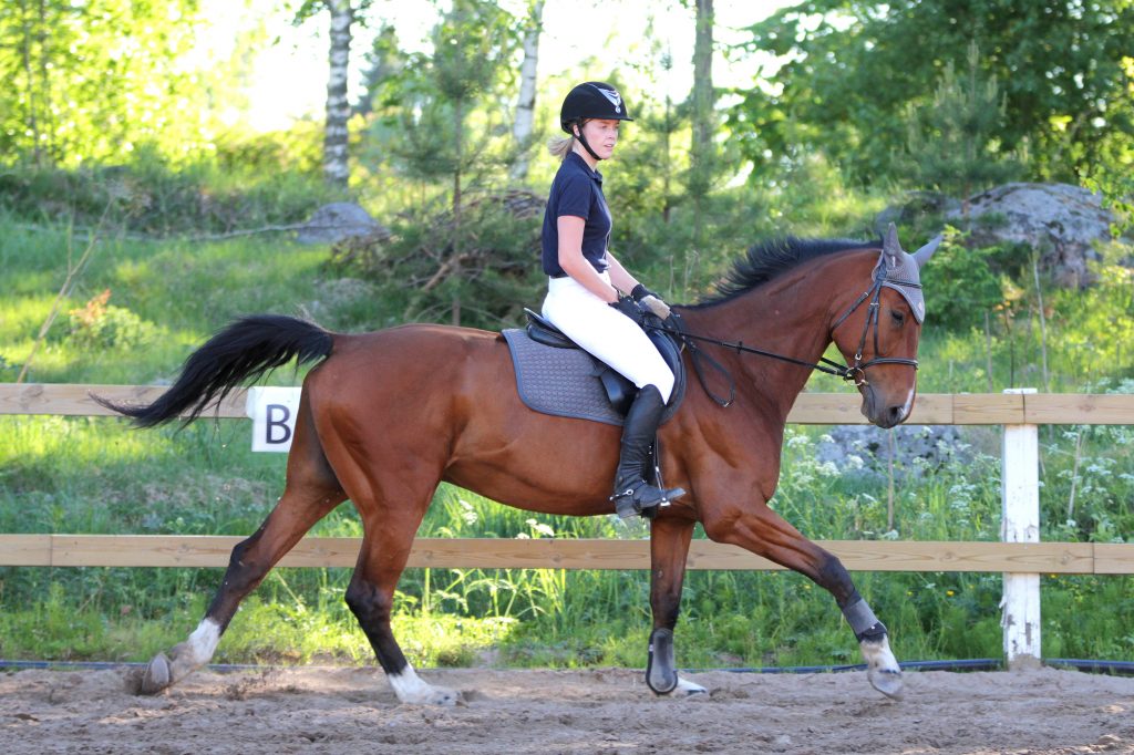 girl riding horse