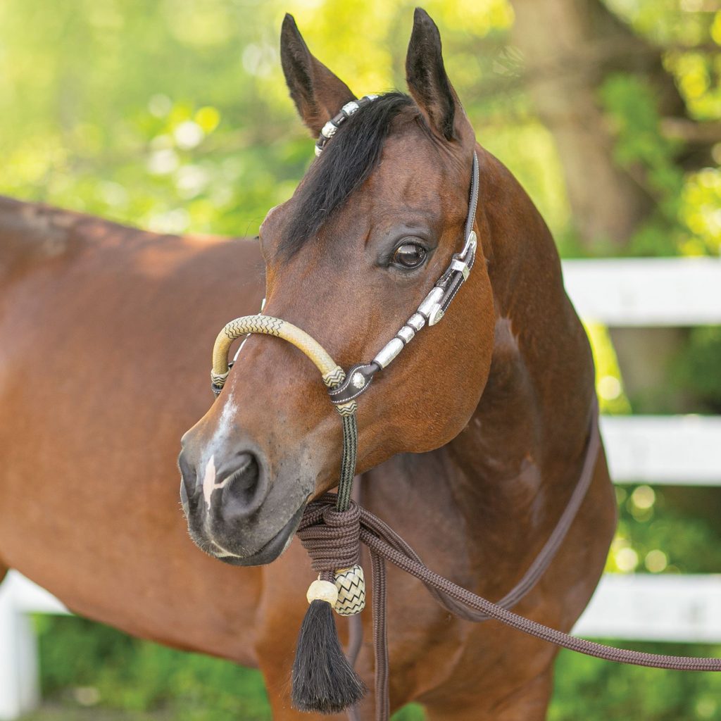 Horse Hair Browband Headstall + Rawhide Braided Bosal - Ranch Hand