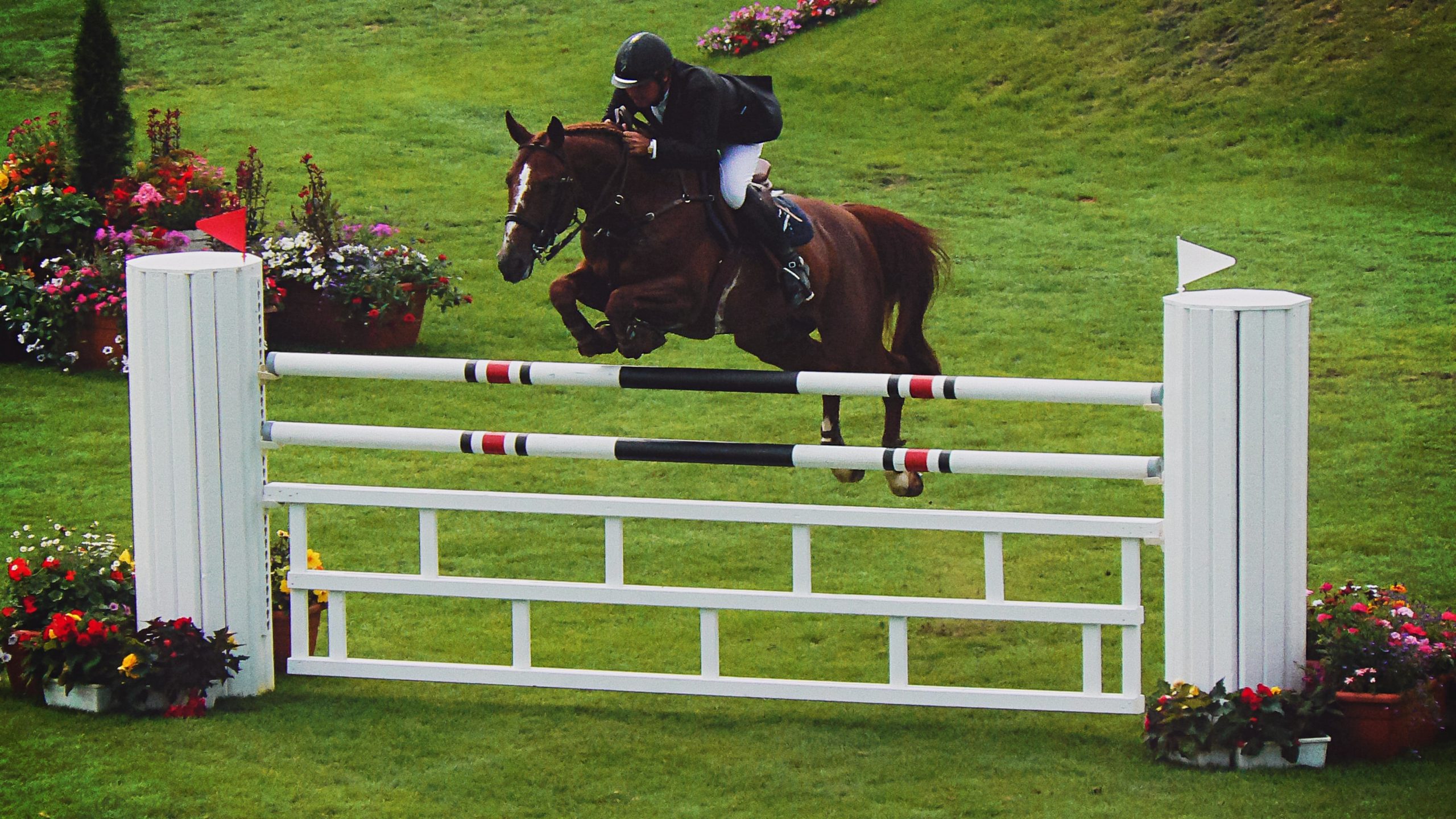 Maryland 5 Star: Show Jumping 2