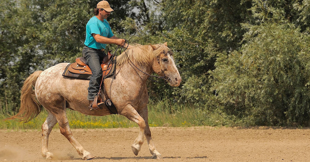 Western Dressage