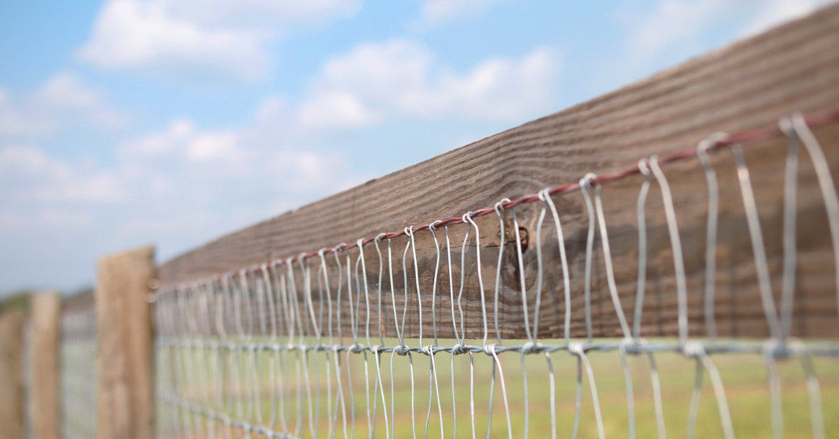 Horse no deals climb fence