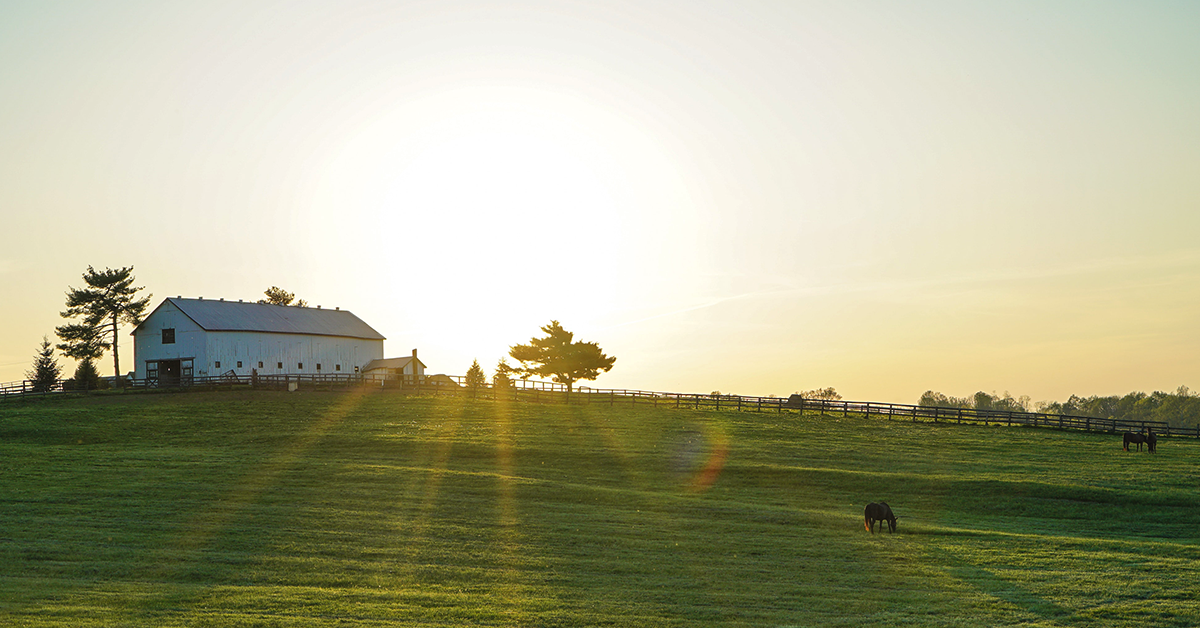 Horse Farm Projects in the Spring - Pasture Management