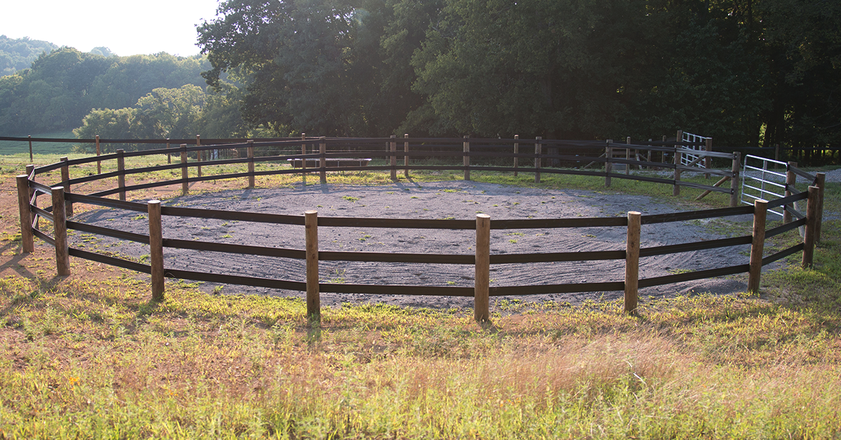 Horse Farm Projects in the Spring - Training and Exercise