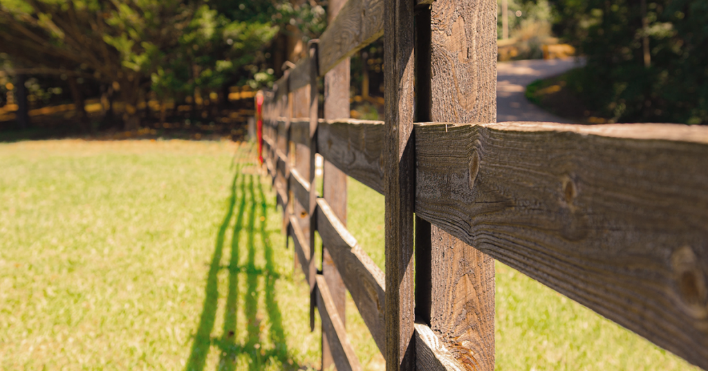 Why Do Horses Chew Wood? - Your Horse Farm Blog