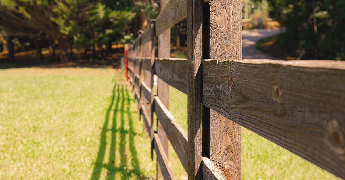 Why Do Horses Chew Wood? - Cribbing