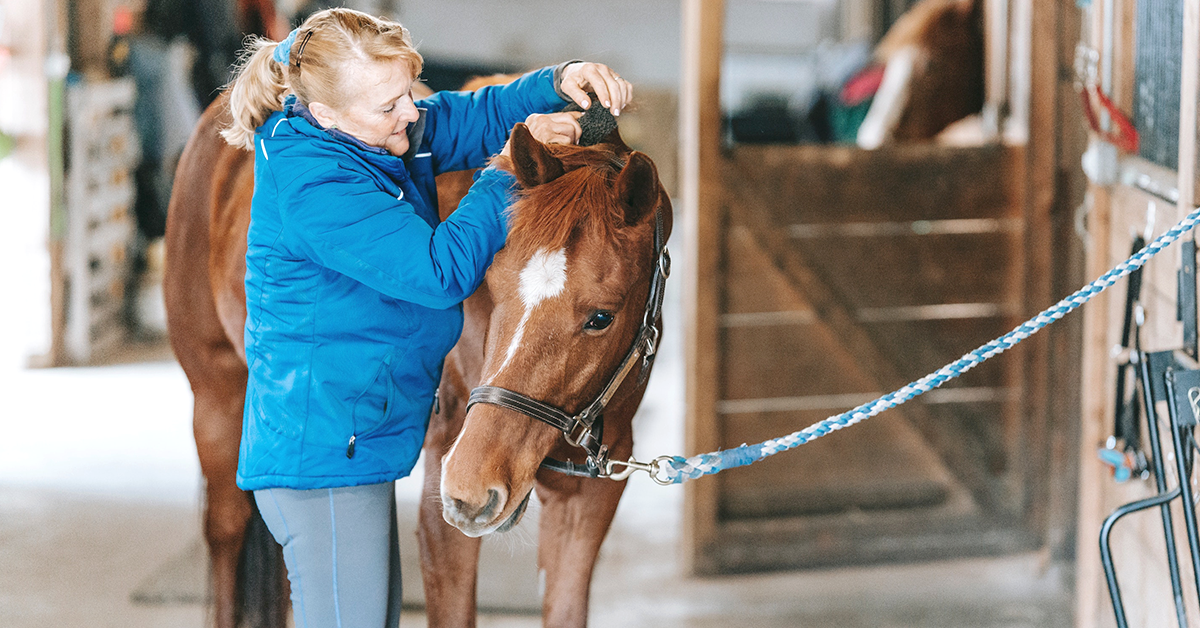 10 Mistakes Beginner Horse Owners Make