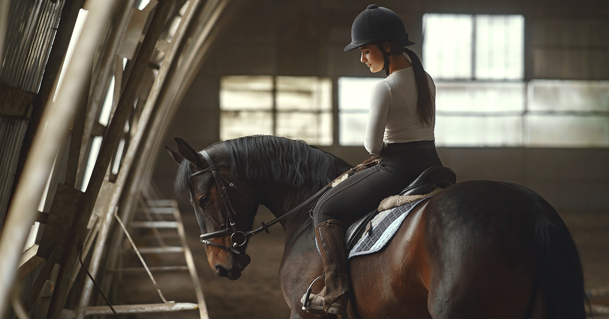 Five Common Styles of English Saddles