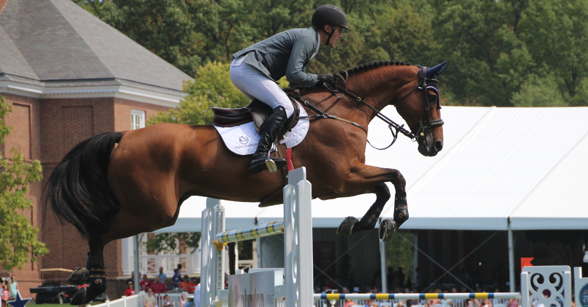 Five Common Styles of English Saddles