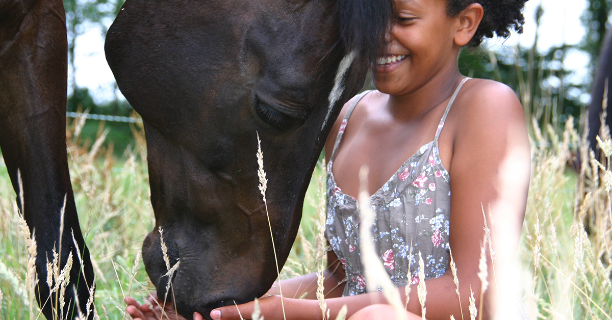 Connecting with Your Heart Horse