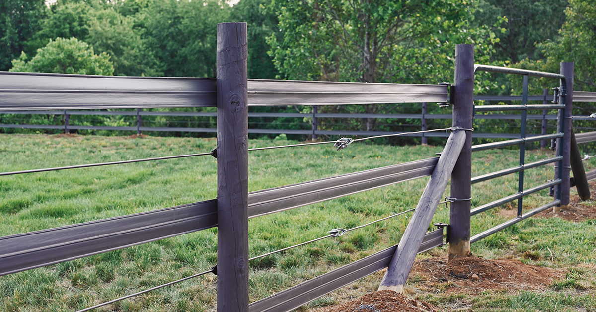 Let’s Build a Fence