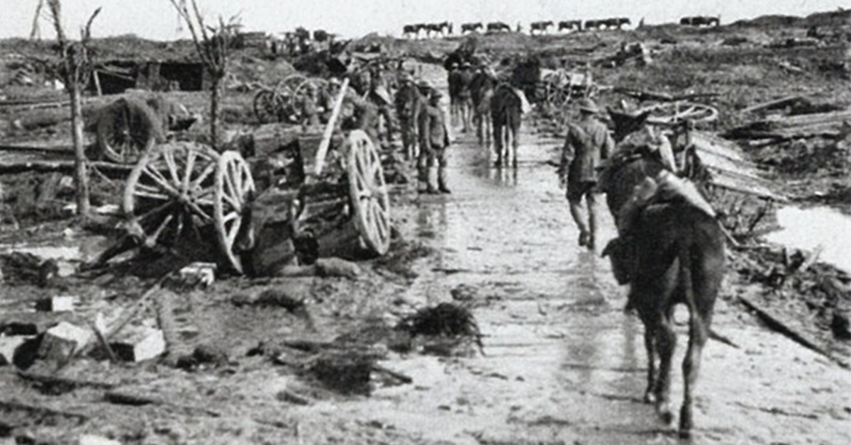 Horses on the Battlefield Alongside Brave Soldiers