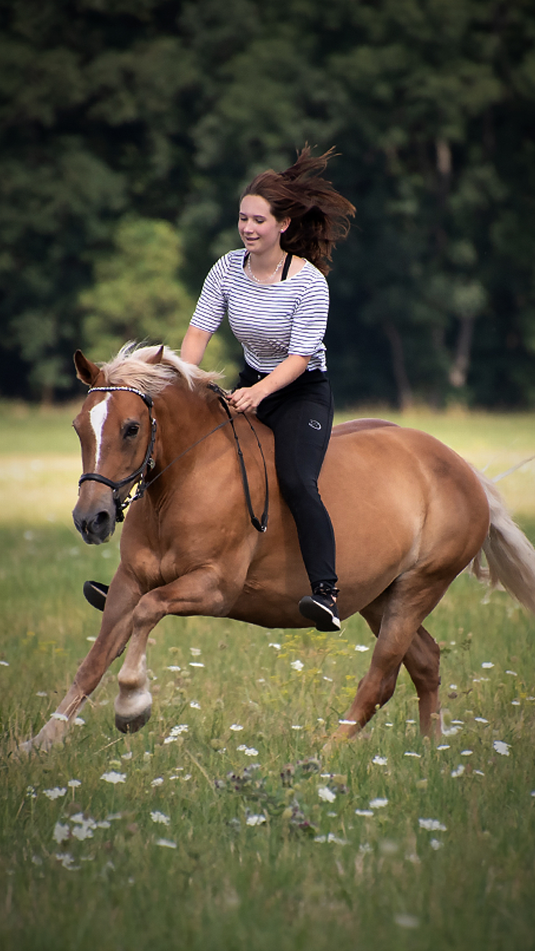 The Pros & Cons of Bareback Riding