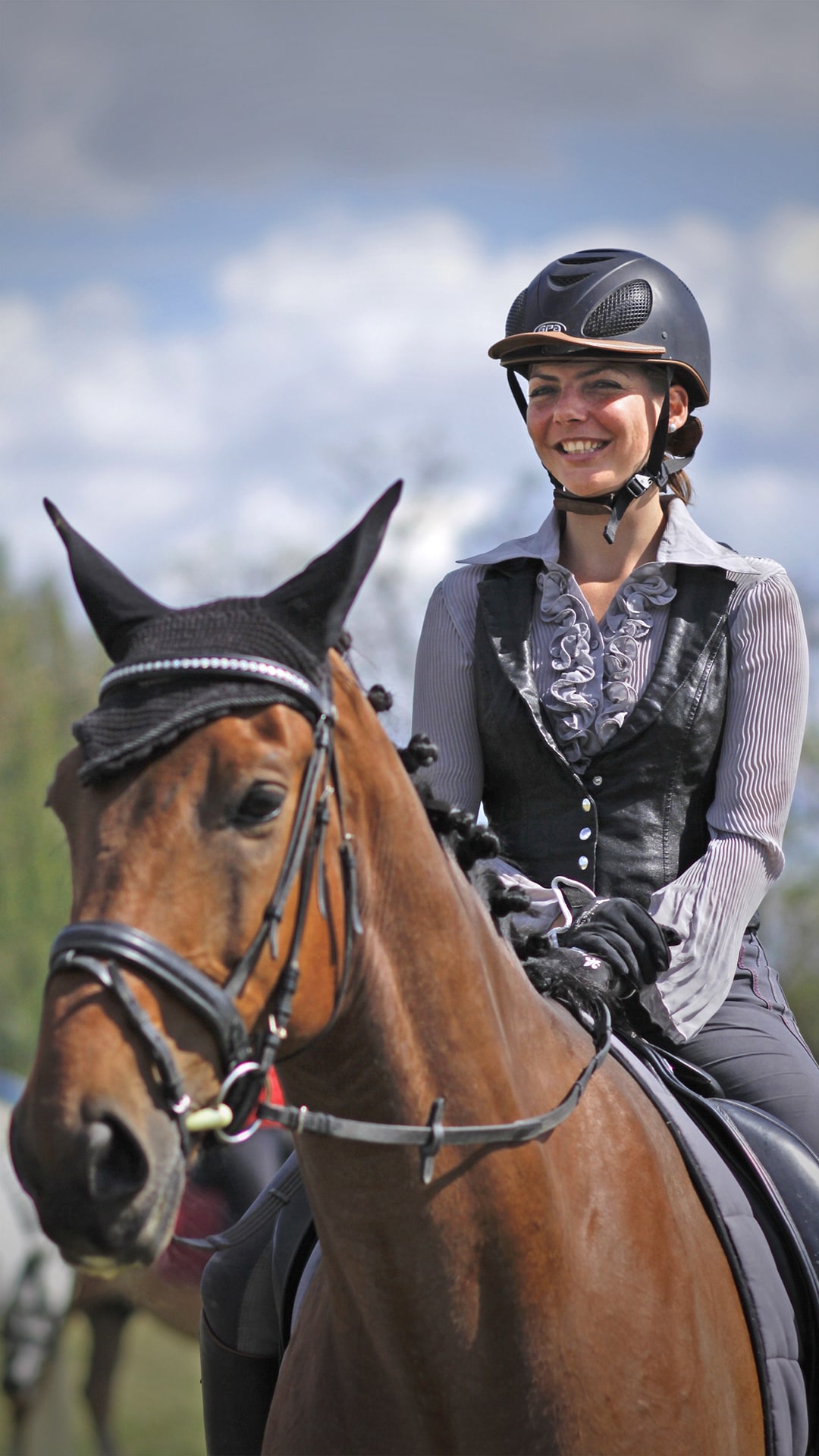 What is Working Equitation?