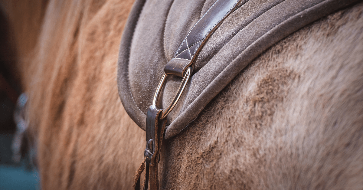 The Pros & Cons of Bareback Riding