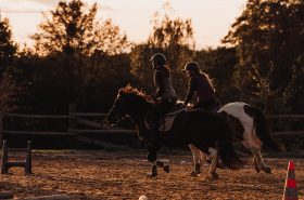 places to visit for horse lovers