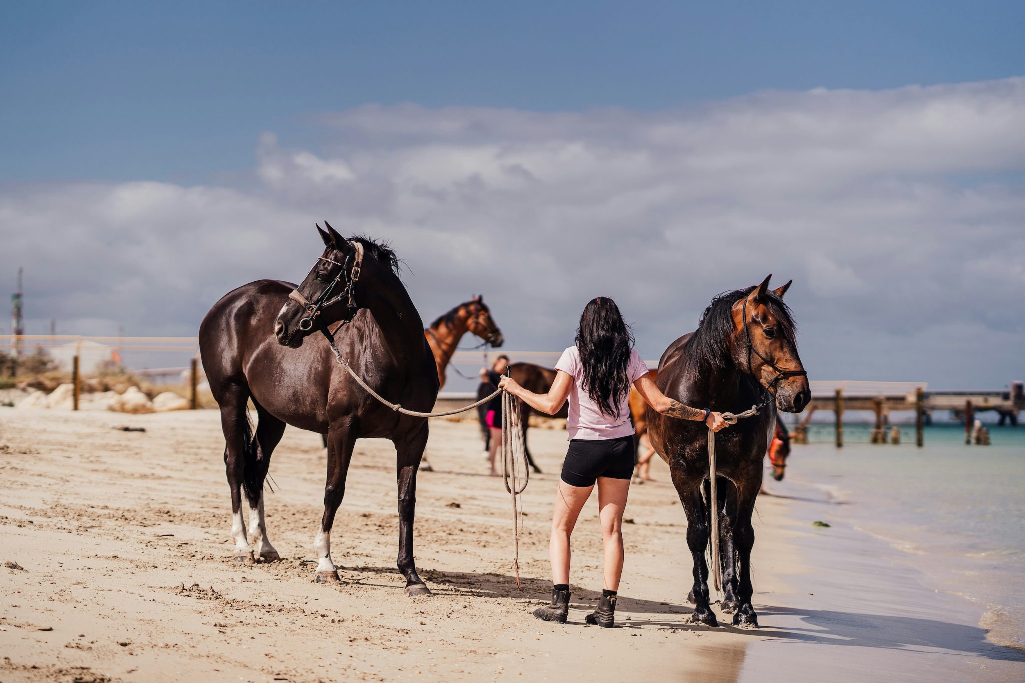 Your Horse Farm - An Equestrian Lifestyle Blog - Resources for Every ...